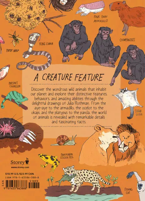 Wildlife Anatomy The Curious Lives & Features of Wild Animals around the World  |  Paperback