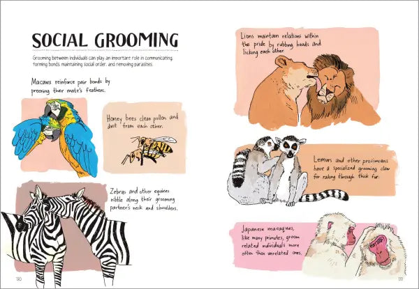 Wildlife Anatomy The Curious Lives & Features of Wild Animals around the World  |  Paperback