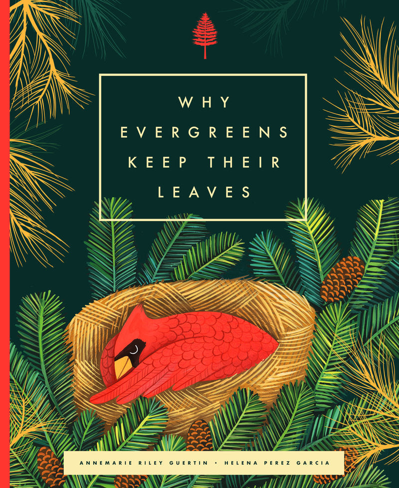 Why Evergreens Keep Their Leaves | Hardcover