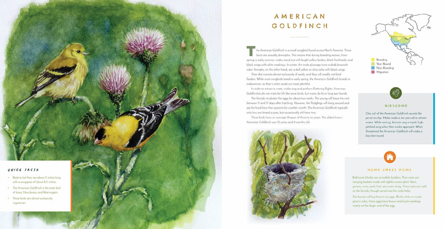 Hear Them Sing | A Kid's Book of North American Bird Songs and Calls | Hardcover