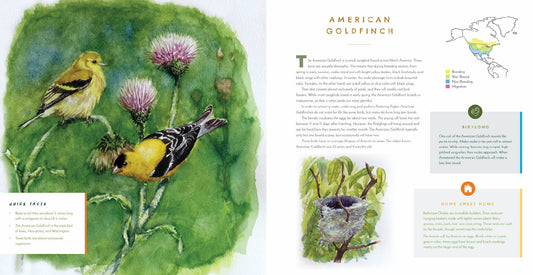 Hear Them Sing | A Kid's Book of North American Bird Songs and Calls | Hardcover