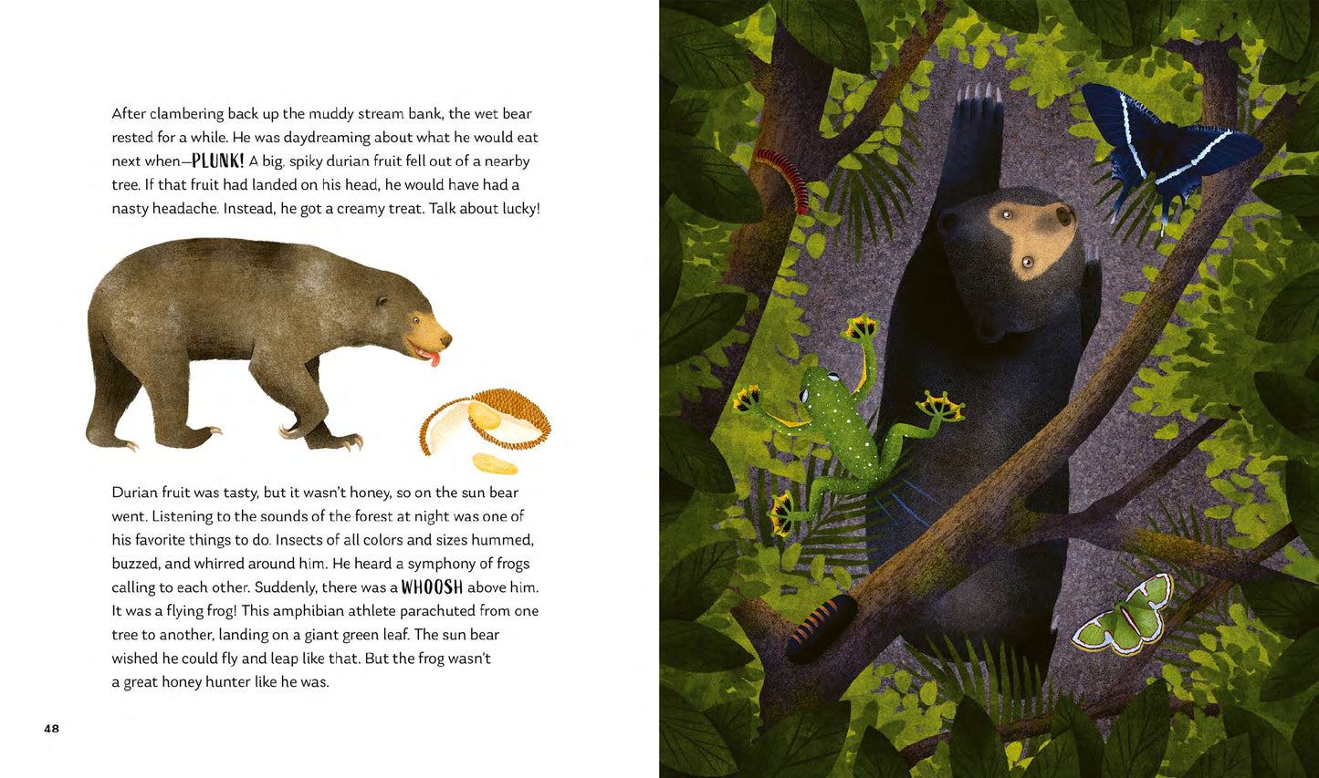 Secrets of the Forest: 15 Bedtime Stories Inspired by Nature | Hardcover