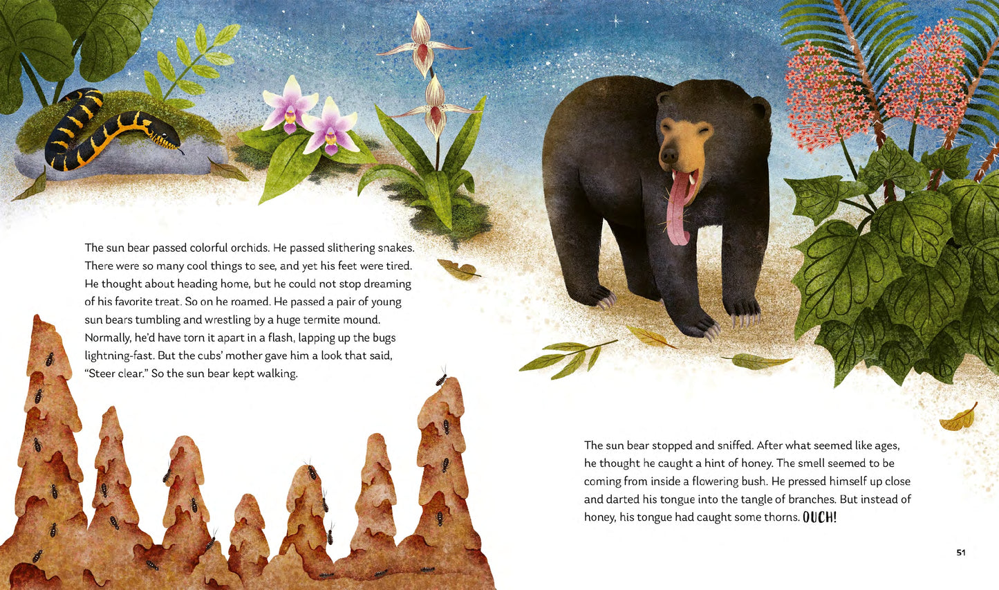 Secrets of the Forest: 15 Bedtime Stories Inspired by Nature | Hardcover