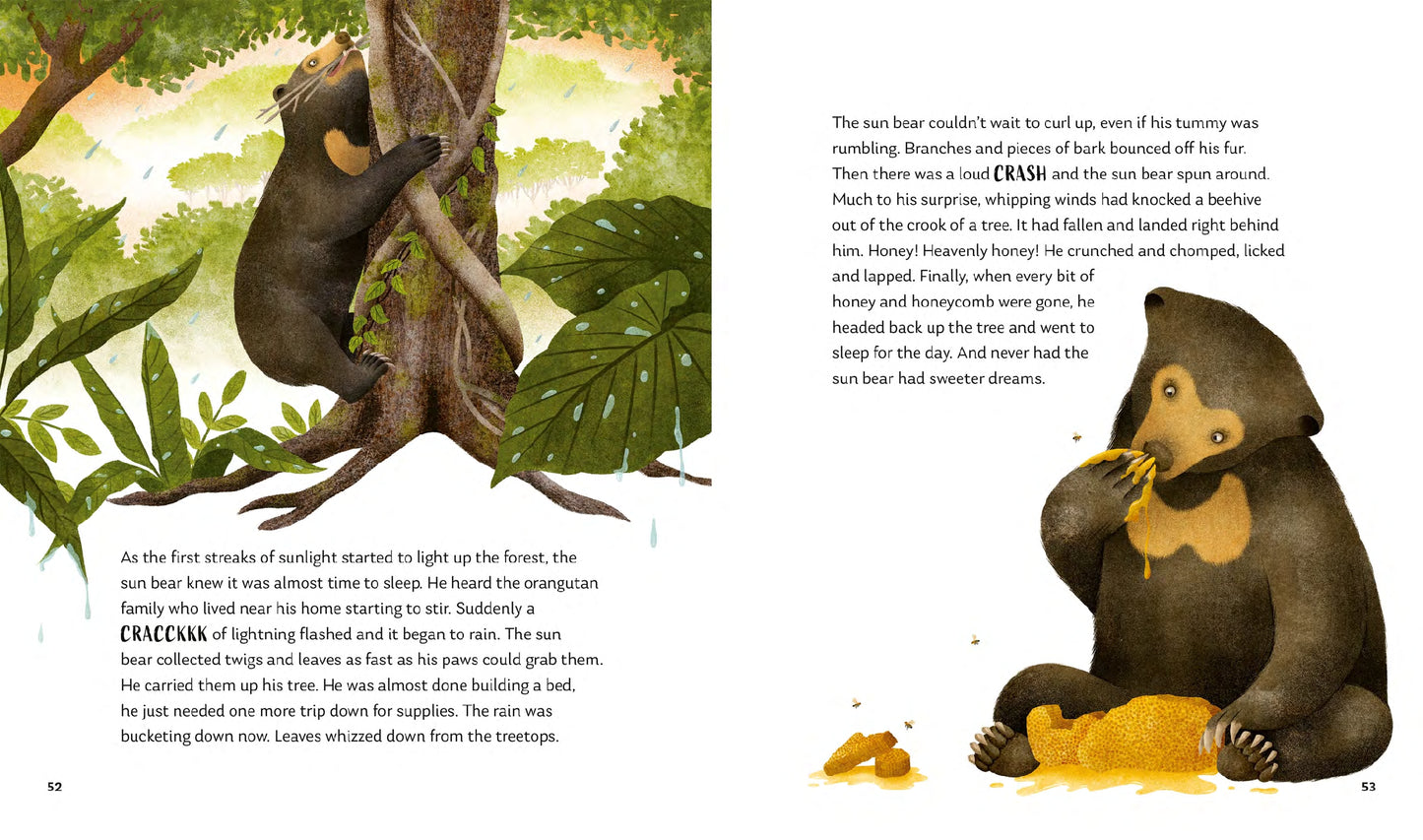 Secrets of the Forest: 15 Bedtime Stories Inspired by Nature | Hardcover