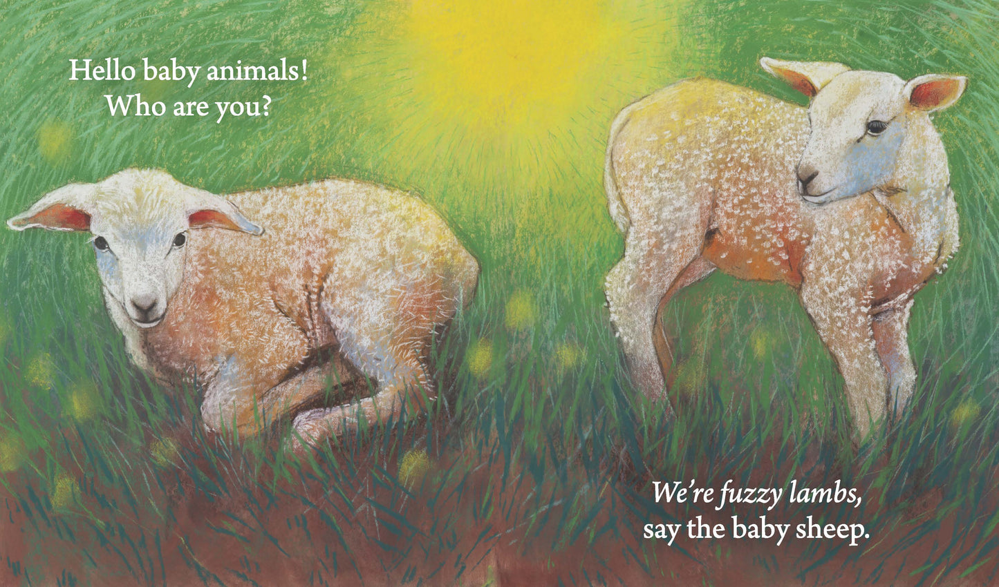 Hello Baby Animals, Who Are You? | Boardbook