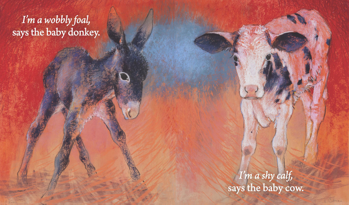 Hello Baby Animals, Who Are You? | Boardbook