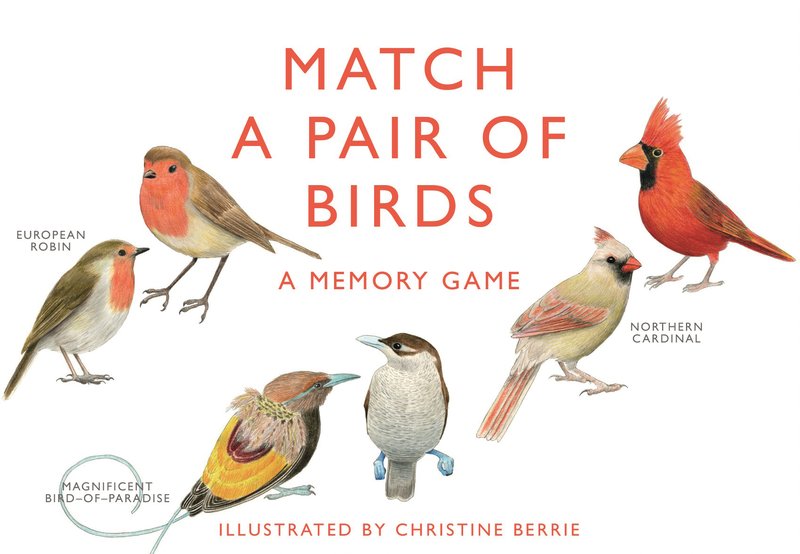 Match a Pair of Birds Memory Game | Game