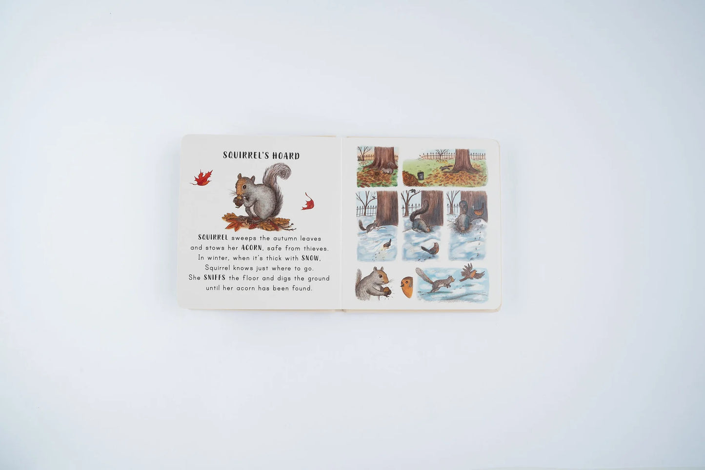Slow Down . . . in the Park: Calming Nature Stories for Little Ones | Boardbook