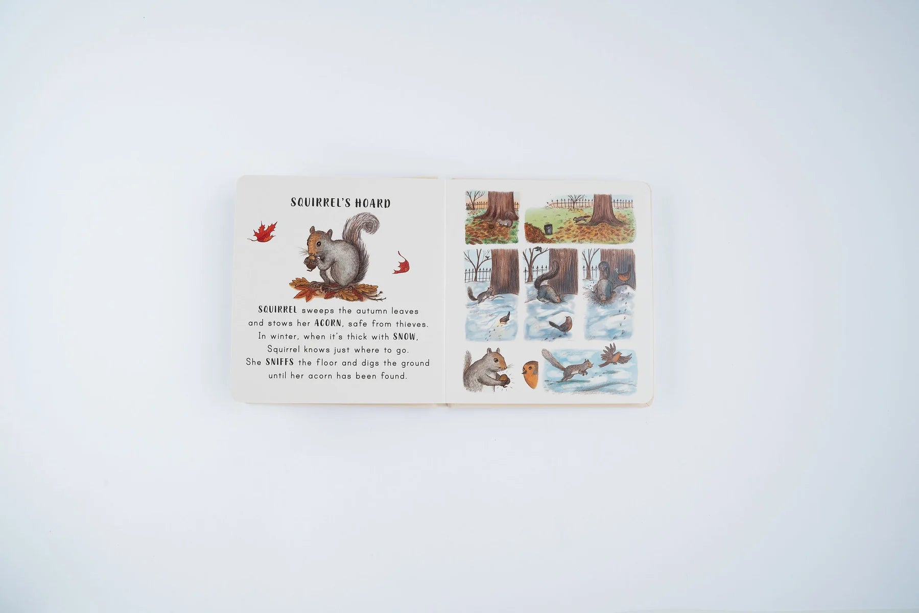 Slow Down . . . in the Park: Calming Nature Stories for Little Ones | Boardbook