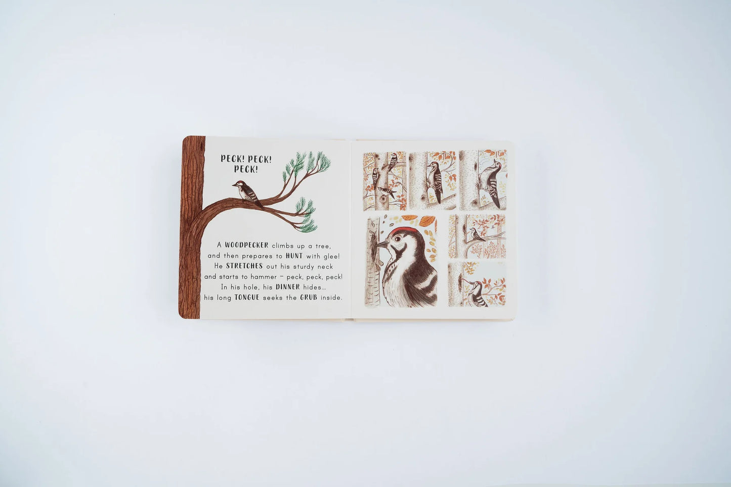 Slow Down . . . in the Park: Calming Nature Stories for Little Ones | Boardbook