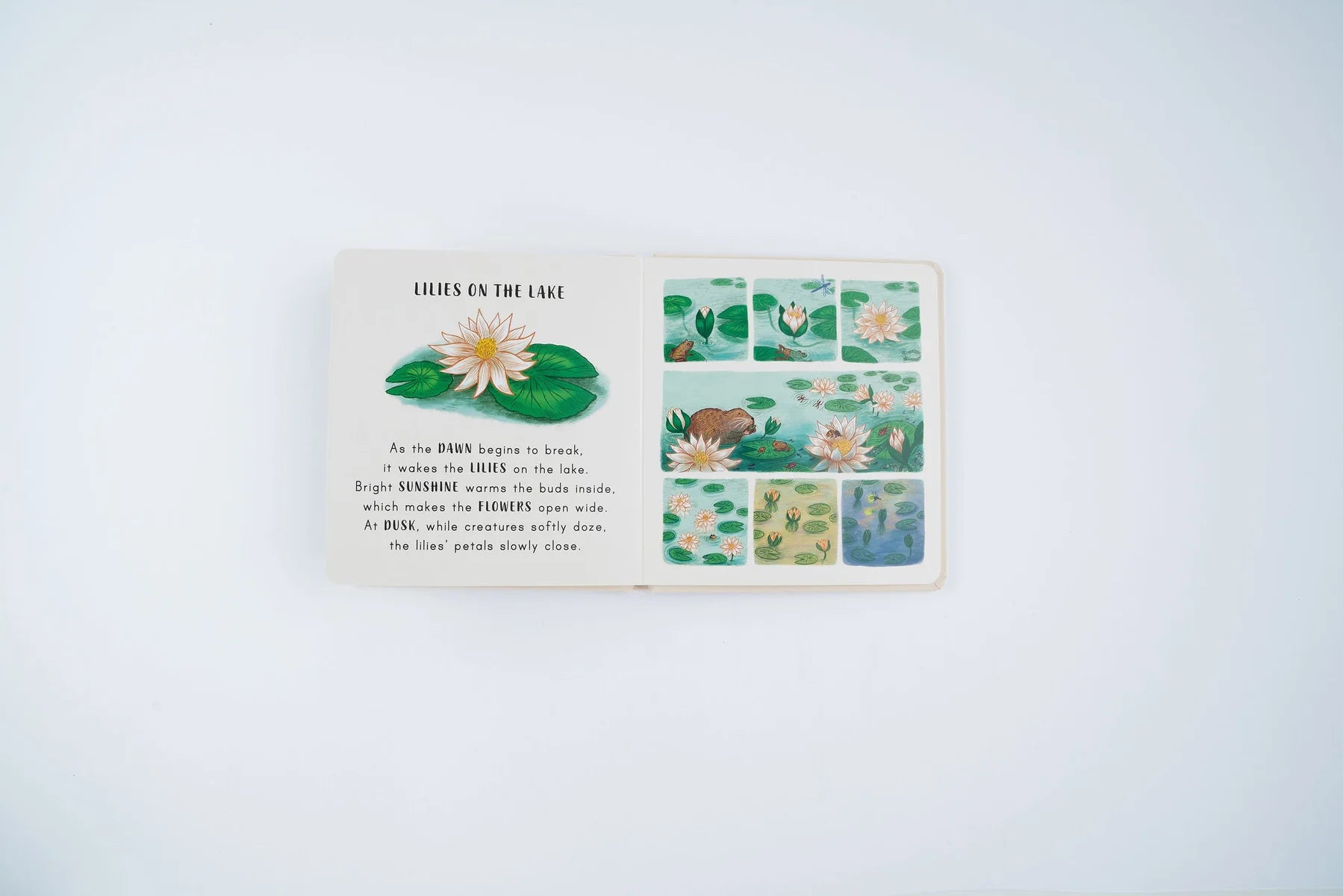 Slow Down . . . in the Park: Calming Nature Stories for Little Ones | Boardbook