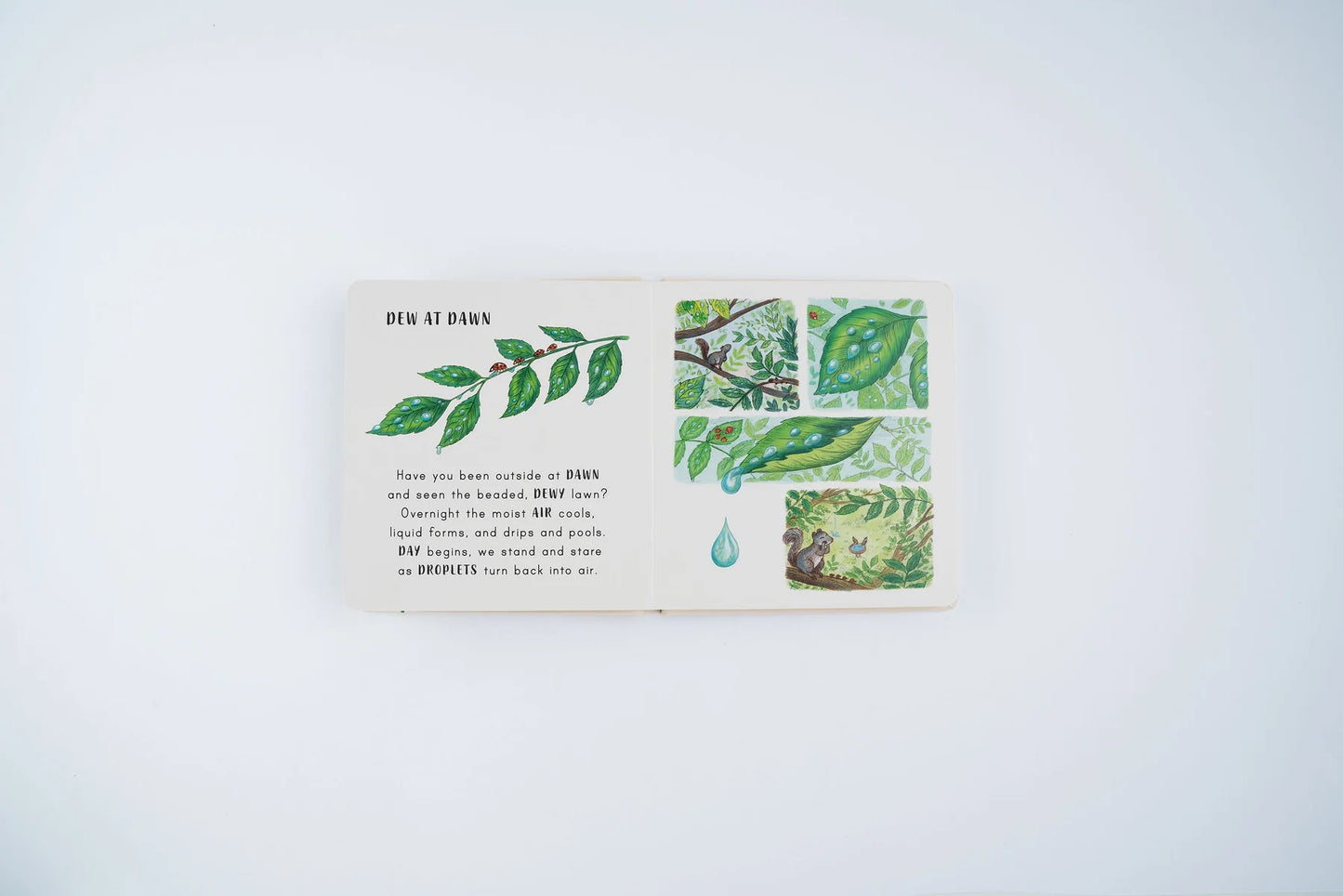 Slow Down . . . on Your Doorstep: Calming Nature Stories for Little Ones | Boardbook