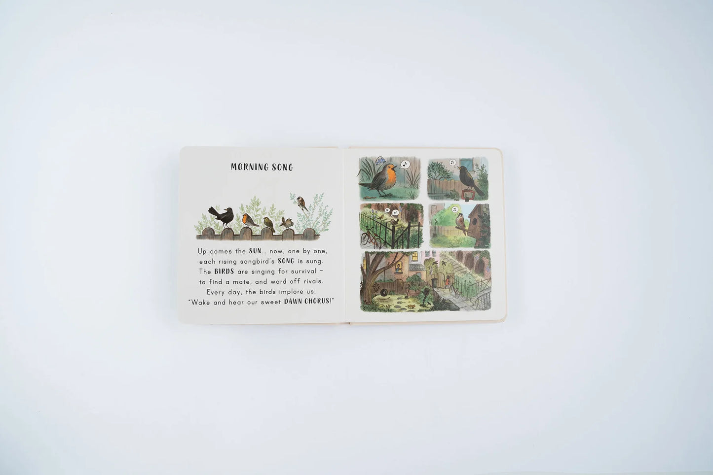 Slow Down . . . on Your Doorstep: Calming Nature Stories for Little Ones | Boardbook