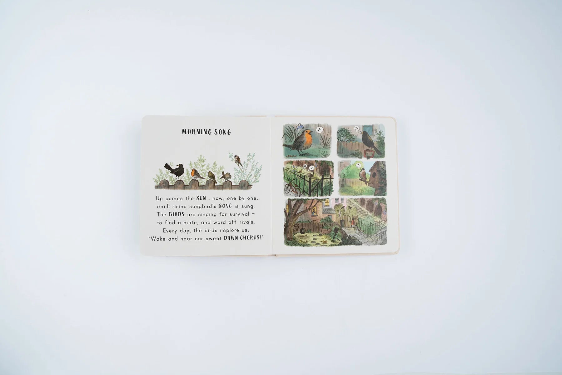 Slow Down . . . on Your Doorstep: Calming Nature Stories for Little Ones | Boardbook