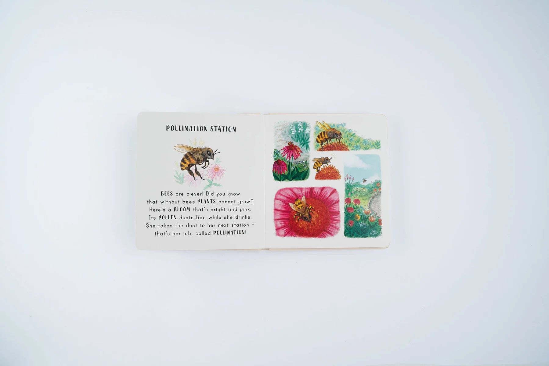 Slow Down . . . on Your Doorstep: Calming Nature Stories for Little Ones | Boardbook