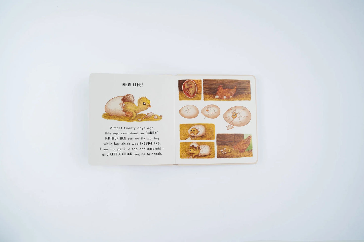 Slow Down . . . on Your Doorstep: Calming Nature Stories for Little Ones | Boardbook