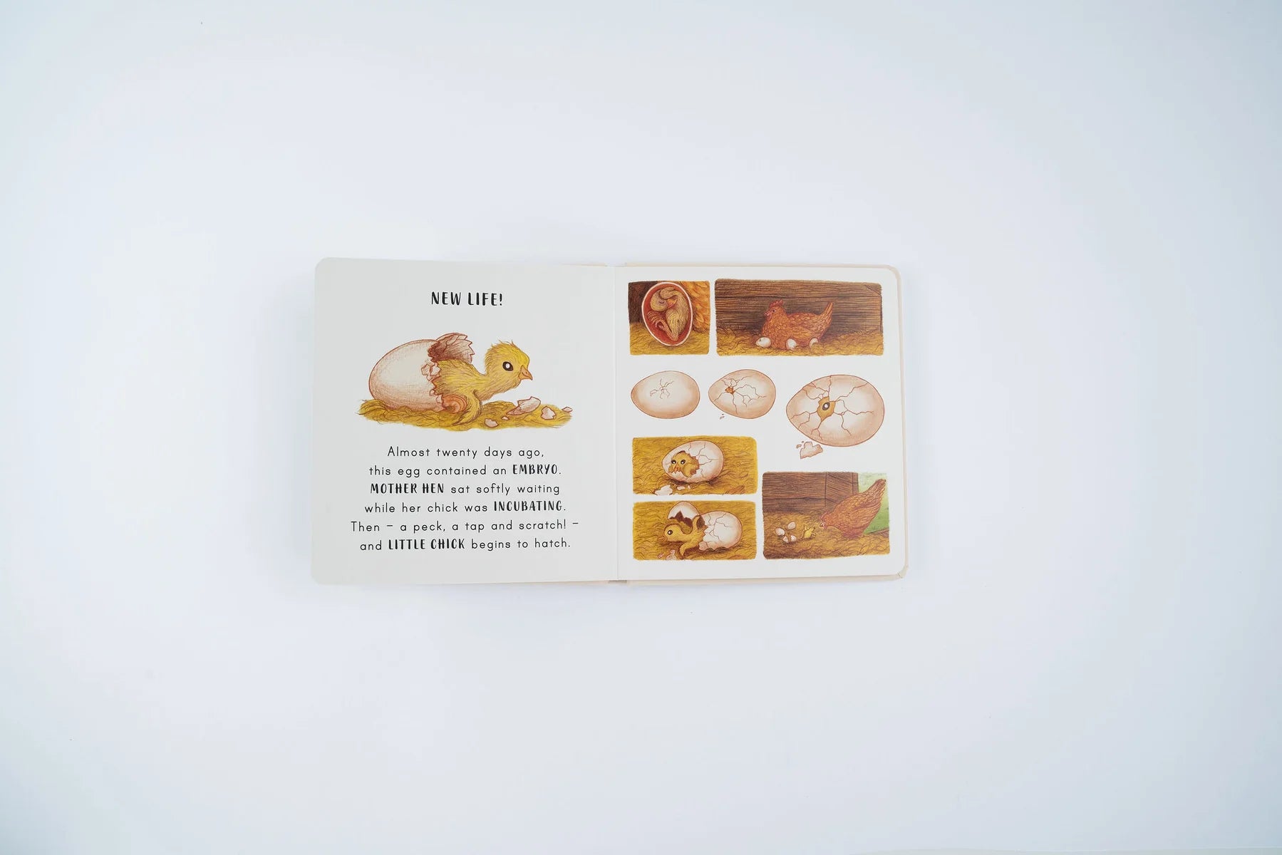 Slow Down . . . on Your Doorstep: Calming Nature Stories for Little Ones | Boardbook