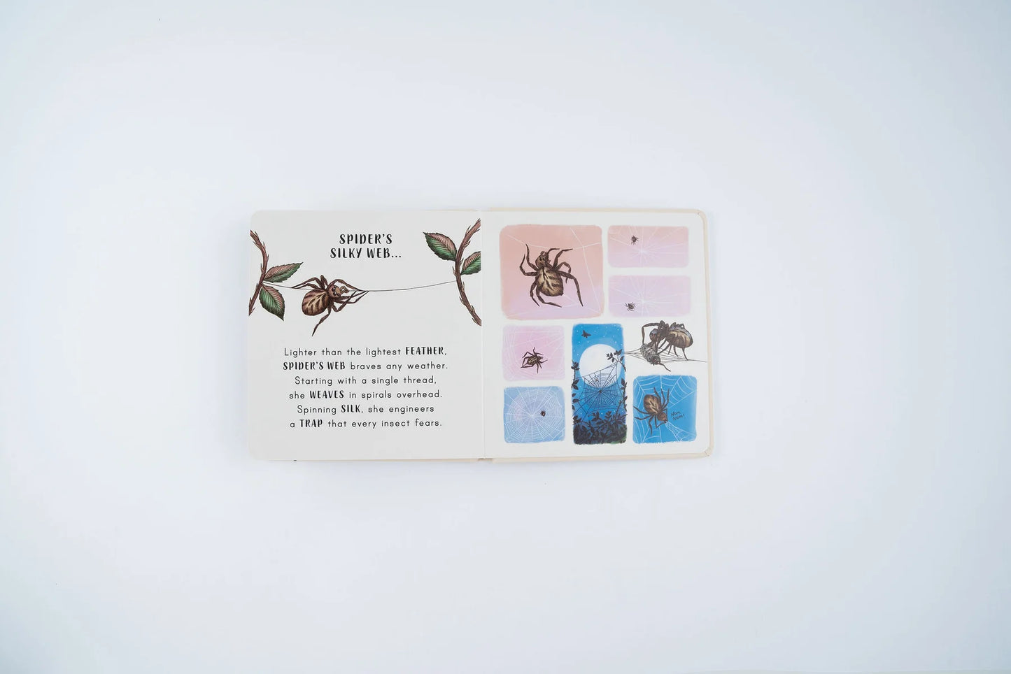 Slow Down . . . on Your Doorstep: Calming Nature Stories for Little Ones | Boardbook