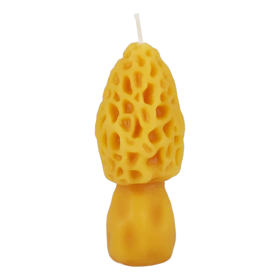 Grand Morel - Natural Beeswax Candle
