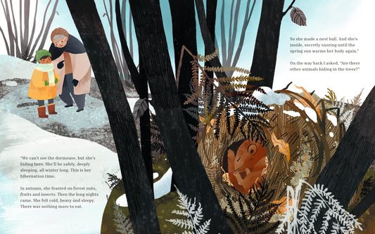 Winter Sleep: A Hibernation Story | Hardcover