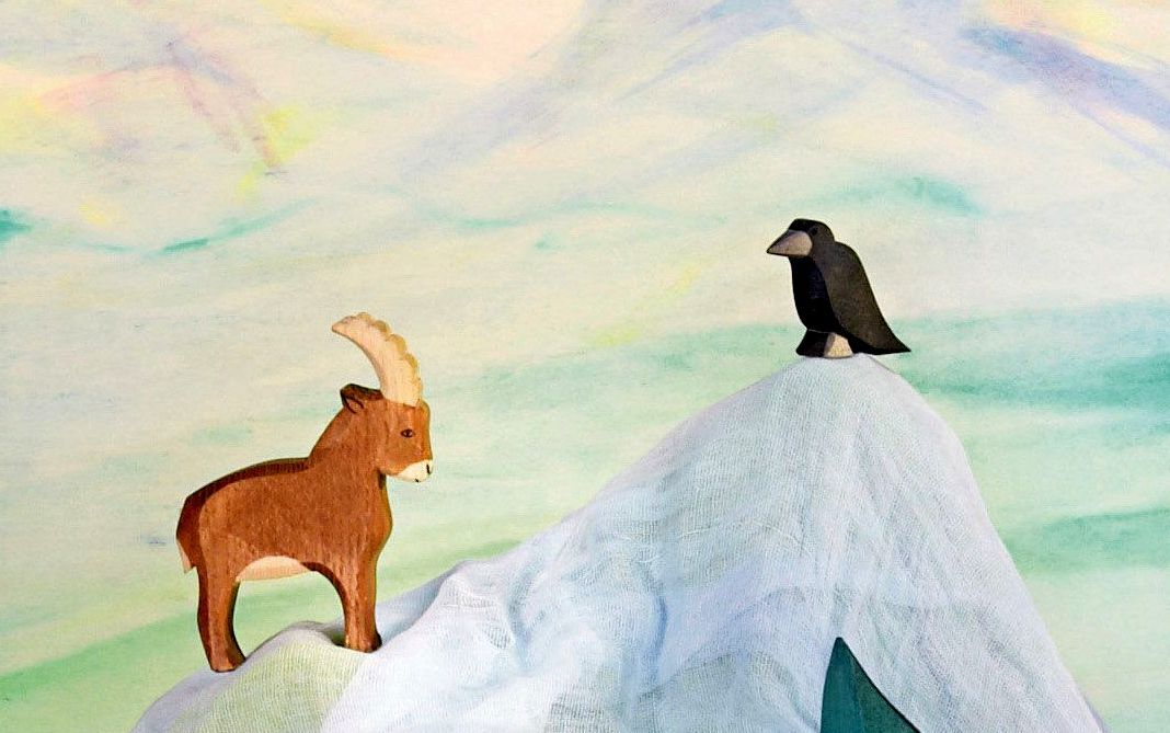 Ostheimer Mountain Goat standing