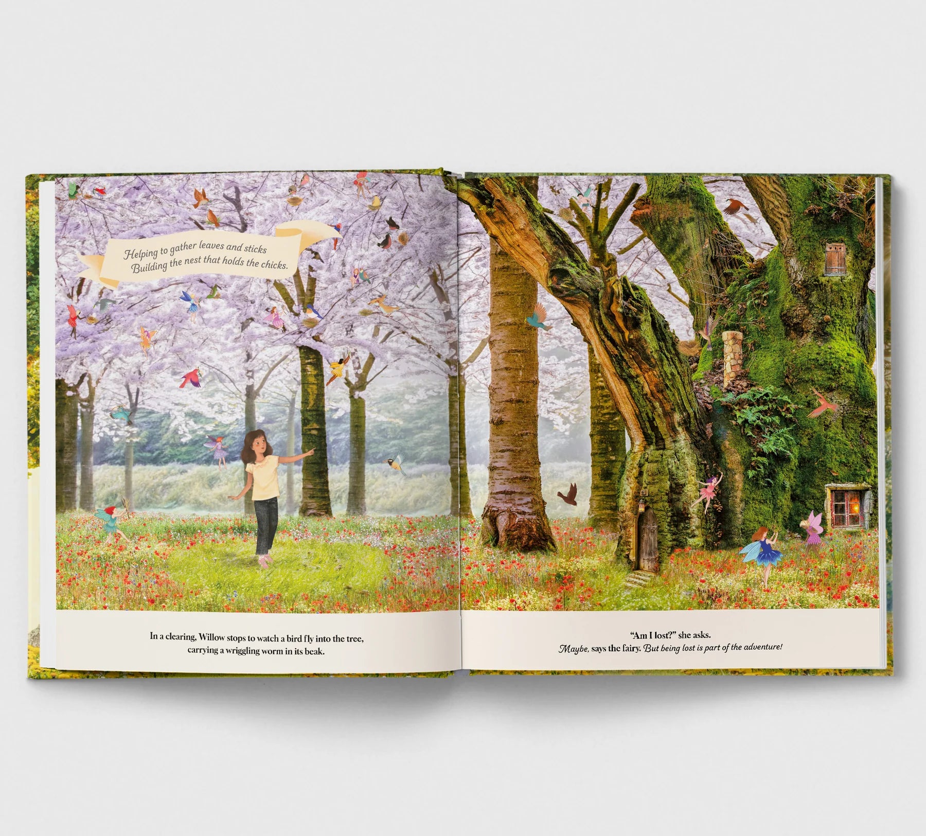 Through the Fairy Door | Hardcover