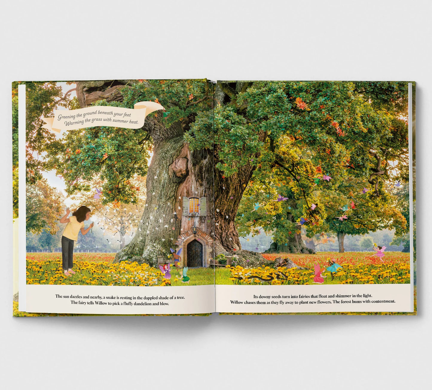 Through the Fairy Door | Hardcover