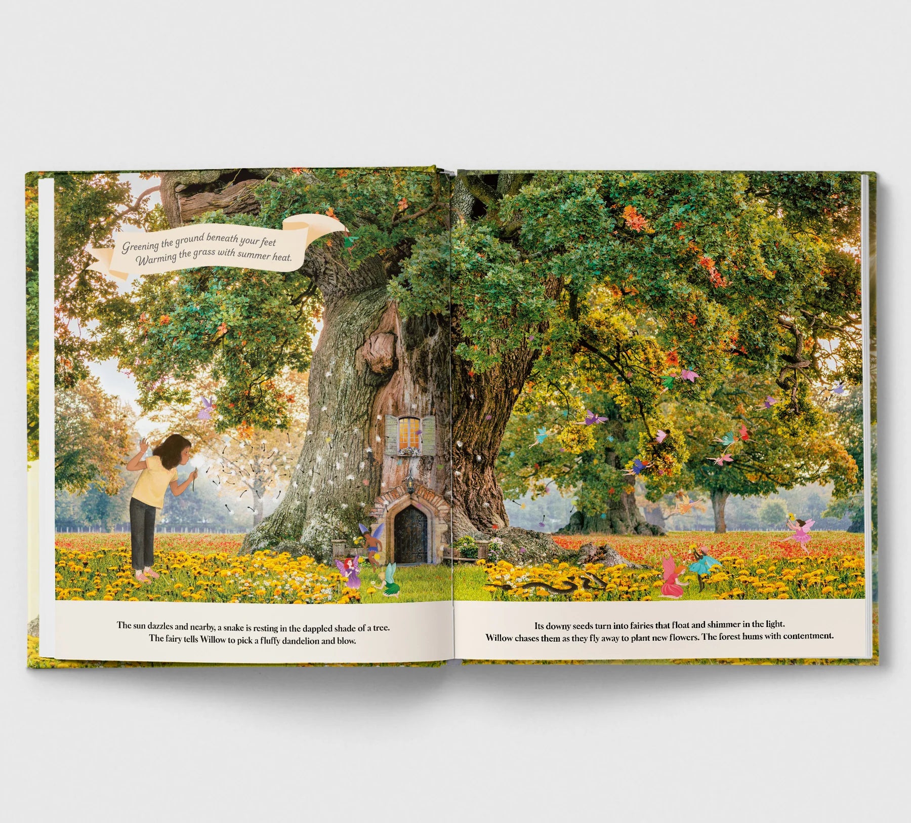 Through the Fairy Door | Hardcover