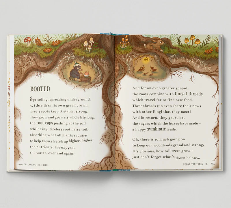 Wisdom of the Woods: 40 Nature Poems Passed Down from Bear to Bear | Hardcover