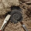 Let’s Investigate Fossils 