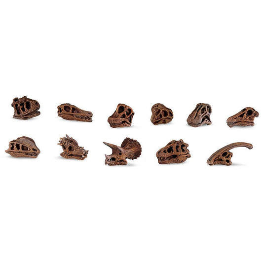 Dinosaur Skulls TOOB®