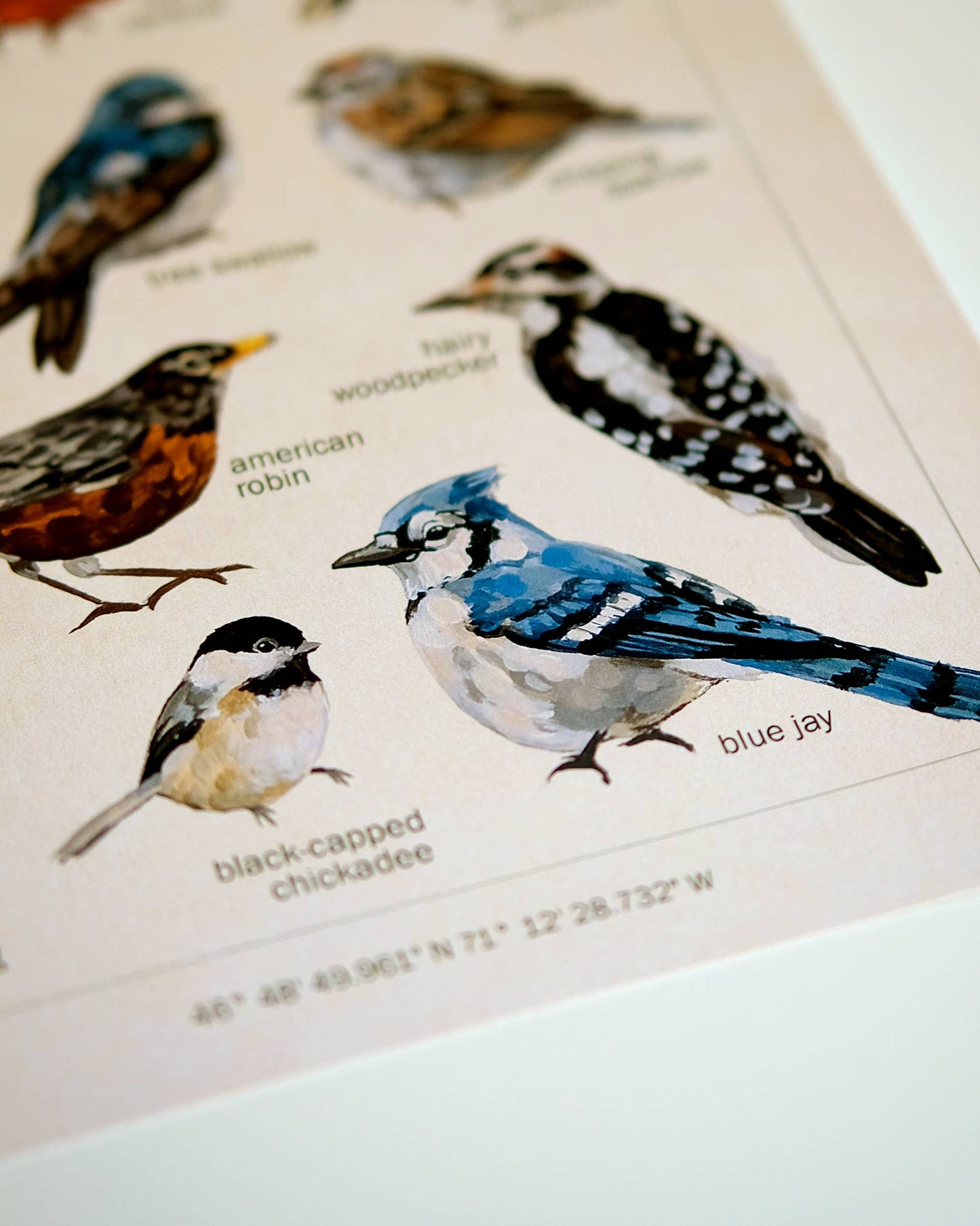 Bird Art Print | 8x10''