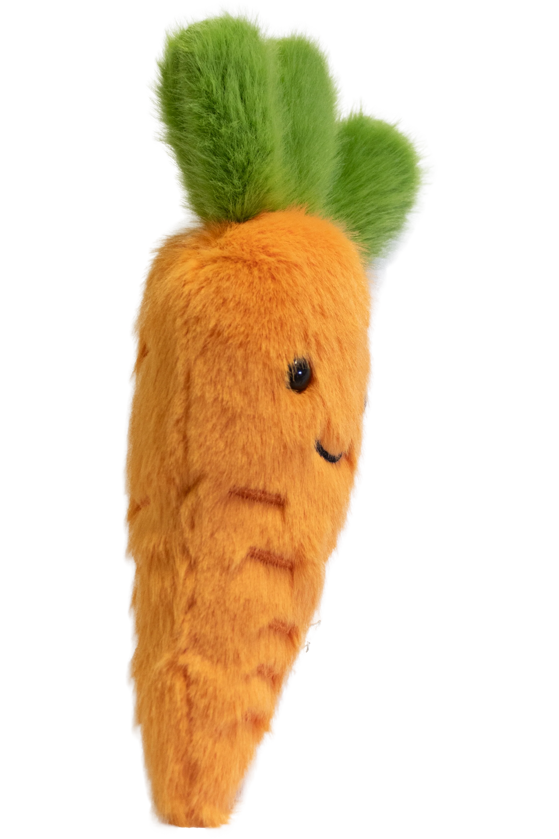 Carrot Garden Friend