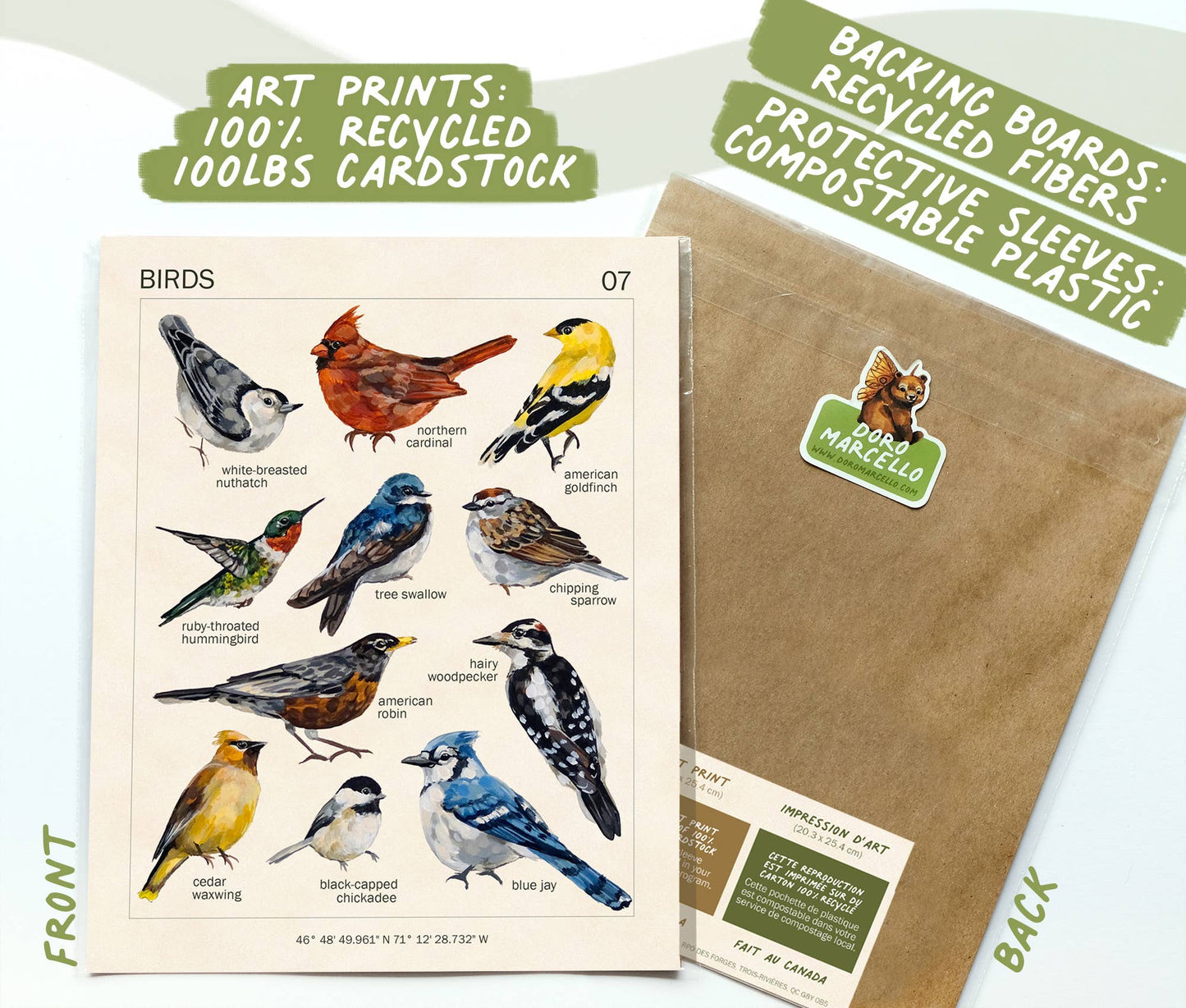 Bird Art Print | 8x10''