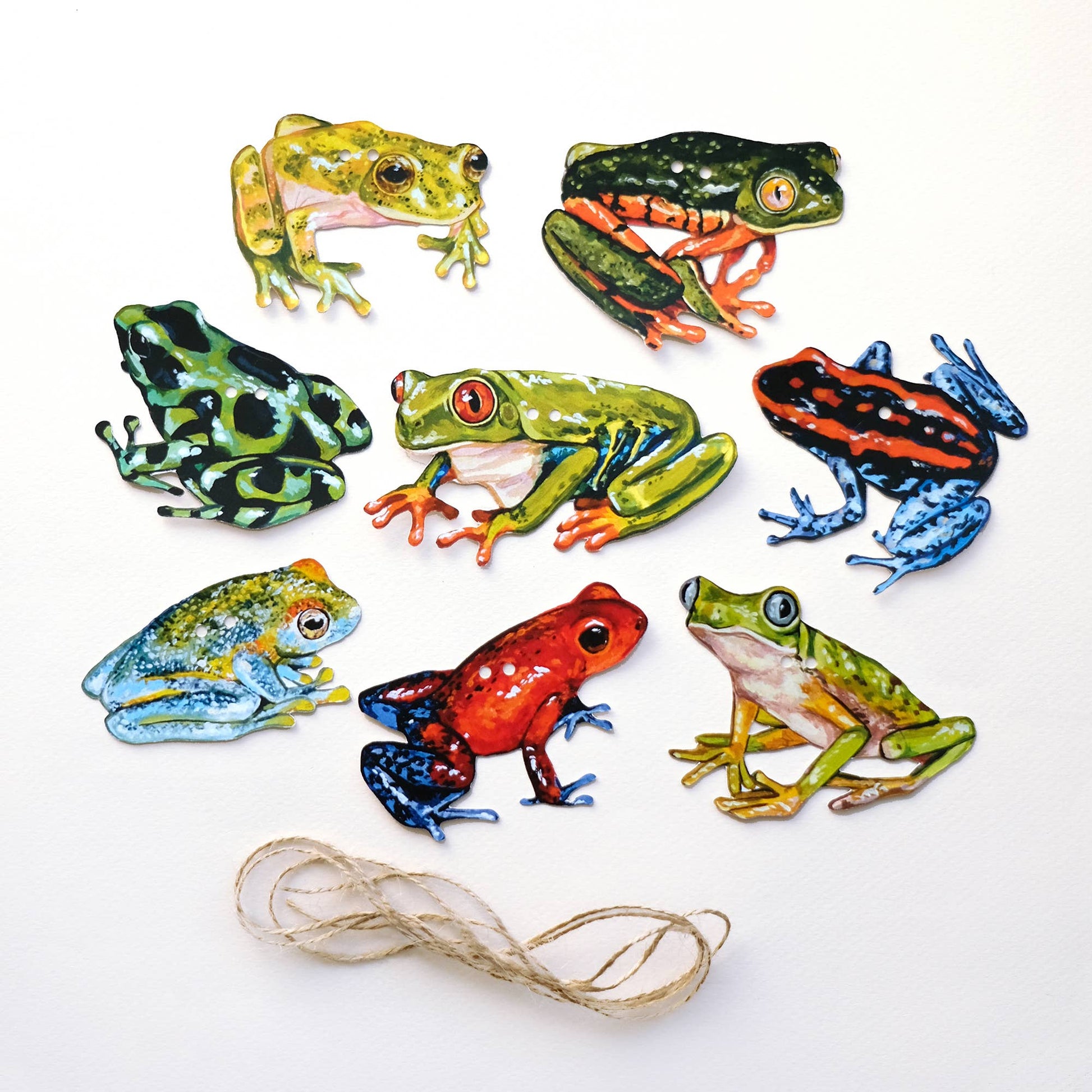Frog Garland | DIY Paper Garland Kit