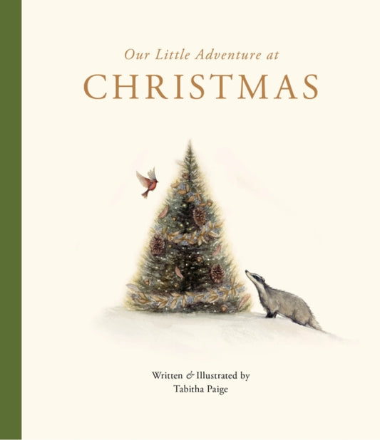 Our Little Adventure at Christmas | Boardbook