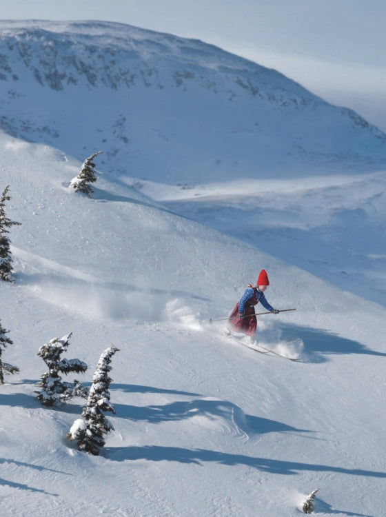 The Reindeer Wish | Hardcover