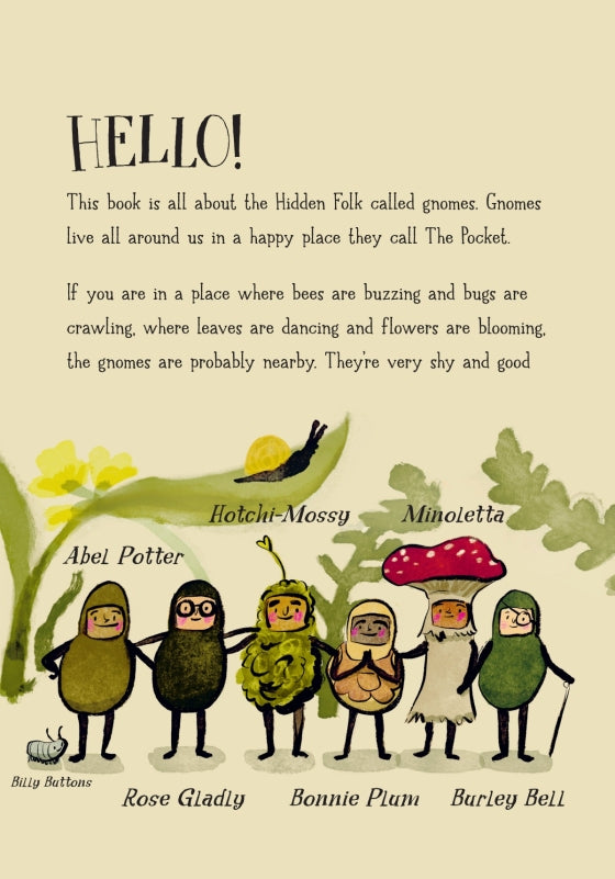 The Newest Gnome | Hardcover