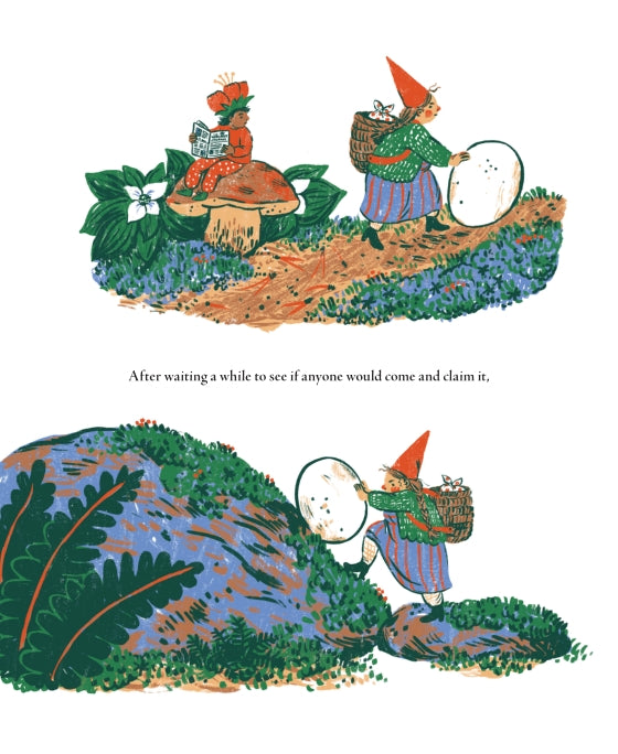Little Witch Hazel: A Year in the Forest | Hardcover GIFT EDITION