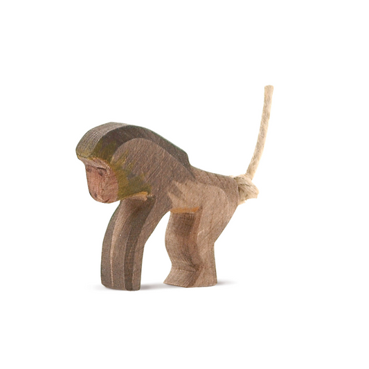 Ostheimer Baboon standing