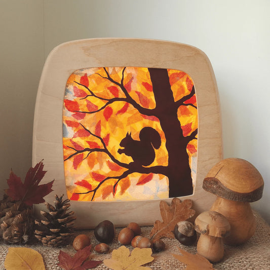 Toverlux | *DIY* Transparency: Squirrel