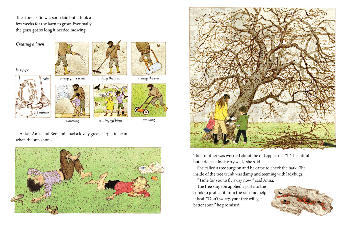 A Year in Our New Garden | Hardcover