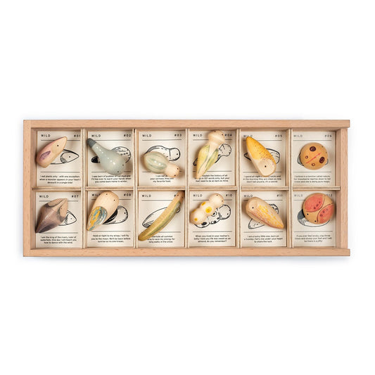 Grapat Wood Wild 12pcs with Tray