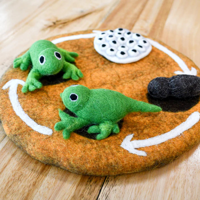 Tara Treasures Felt Lifecycle of a Frog (playmat sold separately)