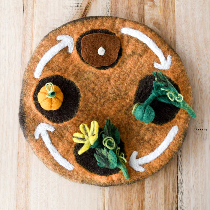 Felt Lifecycle of Pumpkin (playmat sold separately)