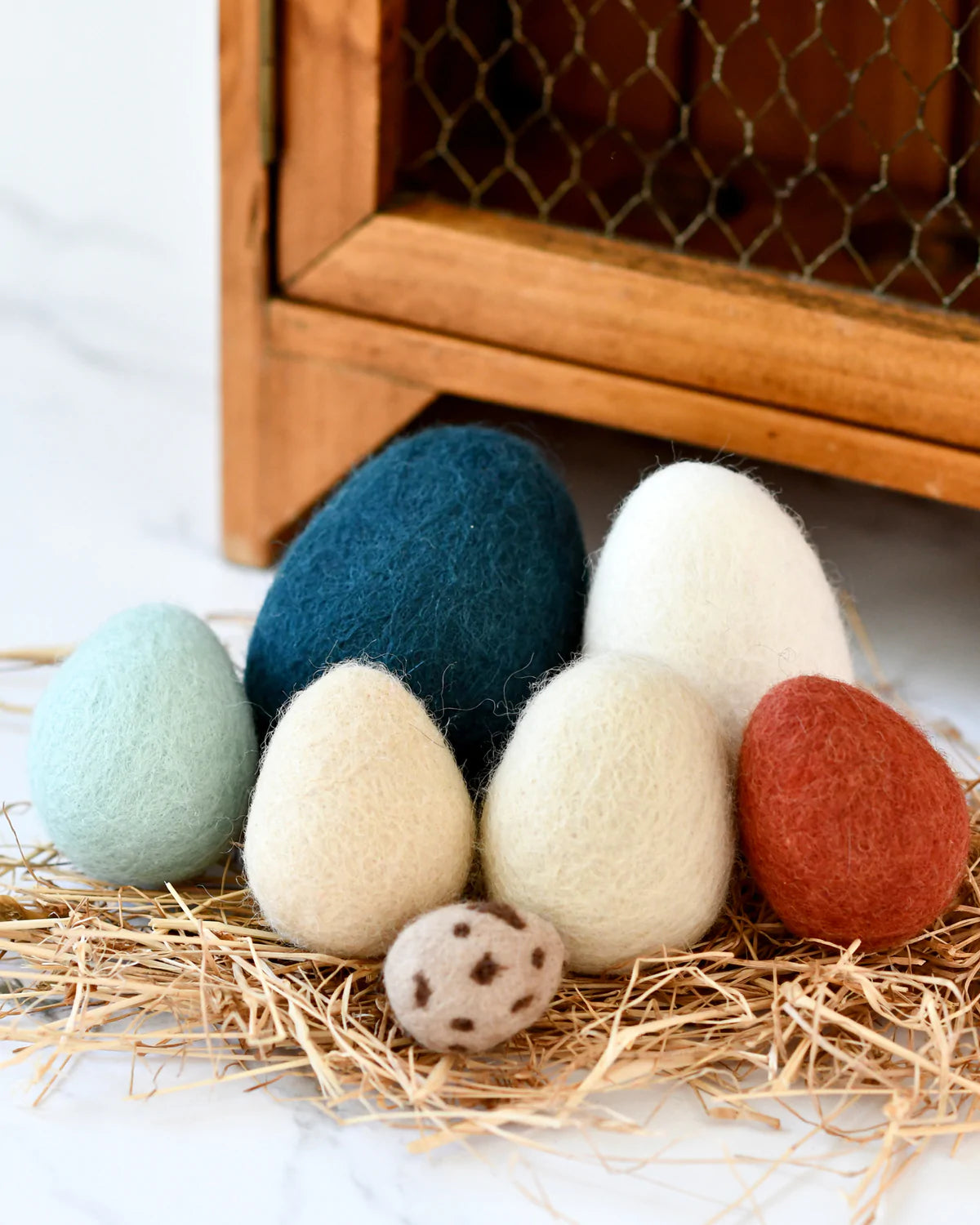 Tara Treasures Felt Eggs (7 types of poultry eggs)