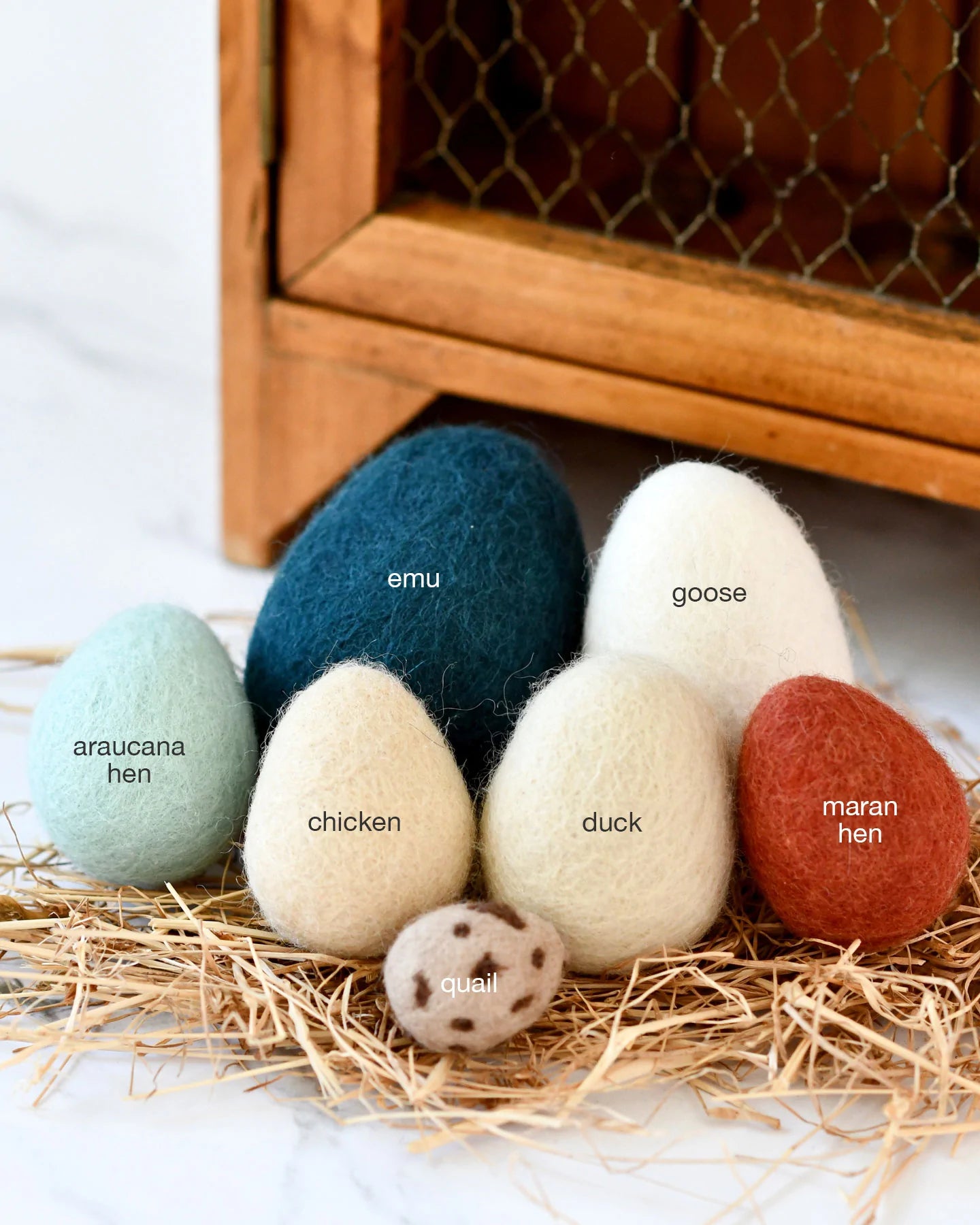 Tara Treasures Felt Eggs (7 types of poultry eggs)