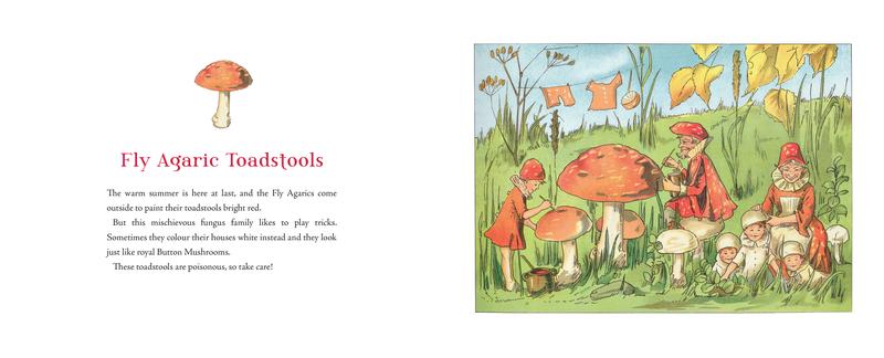 Tales of the Mushroom Folk | Hardcover