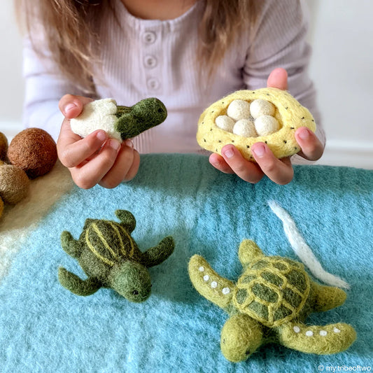 Tara Treasures Felt Lifecycle of Green Sea Turtle (playmat sold separately)